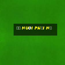 đề nuôi phải nổ