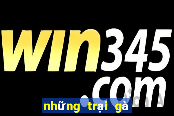 những trại gà đá nổi tiếng