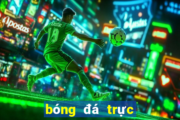 bóng đá trực tiếp tại sân mỹ đình