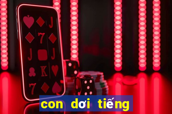 con dơi tiếng anh là gì