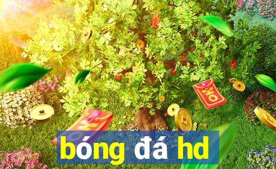 bóng đá hd