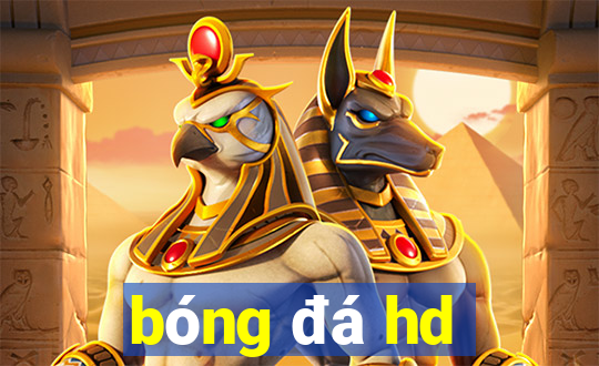 bóng đá hd