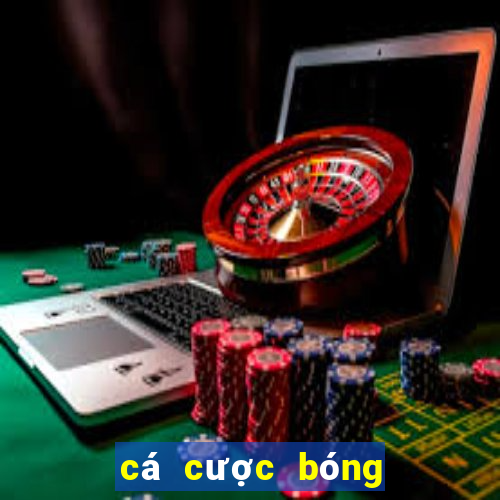 cá cược bóng đá webcacuoc88