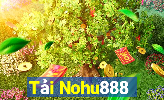 Tải Nohu888