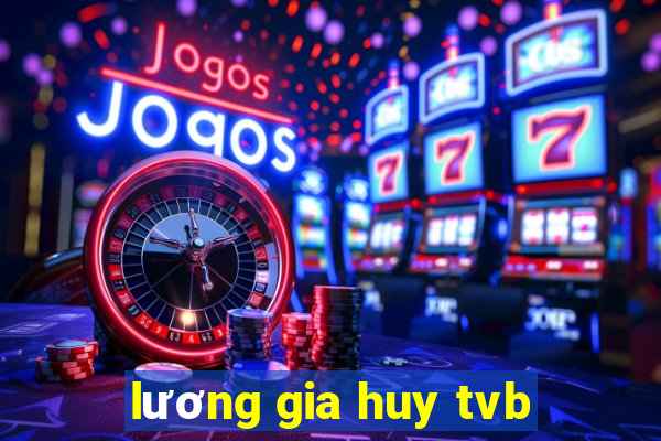 lương gia huy tvb