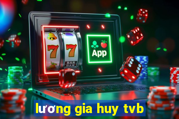 lương gia huy tvb