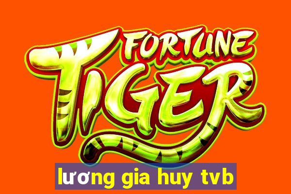 lương gia huy tvb