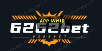 app vinid