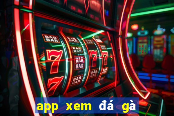 app xem đá gà trực tiếp thomo