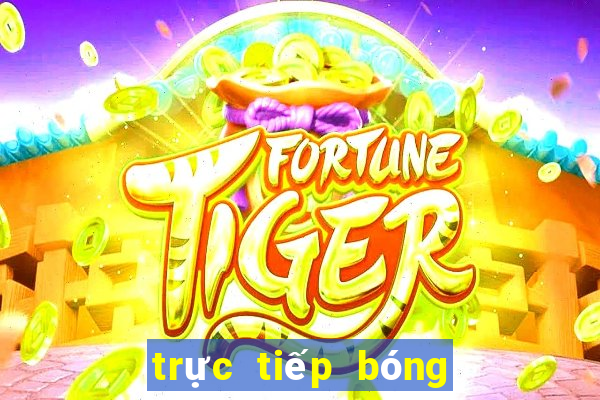 trực tiếp bóng đá m8win