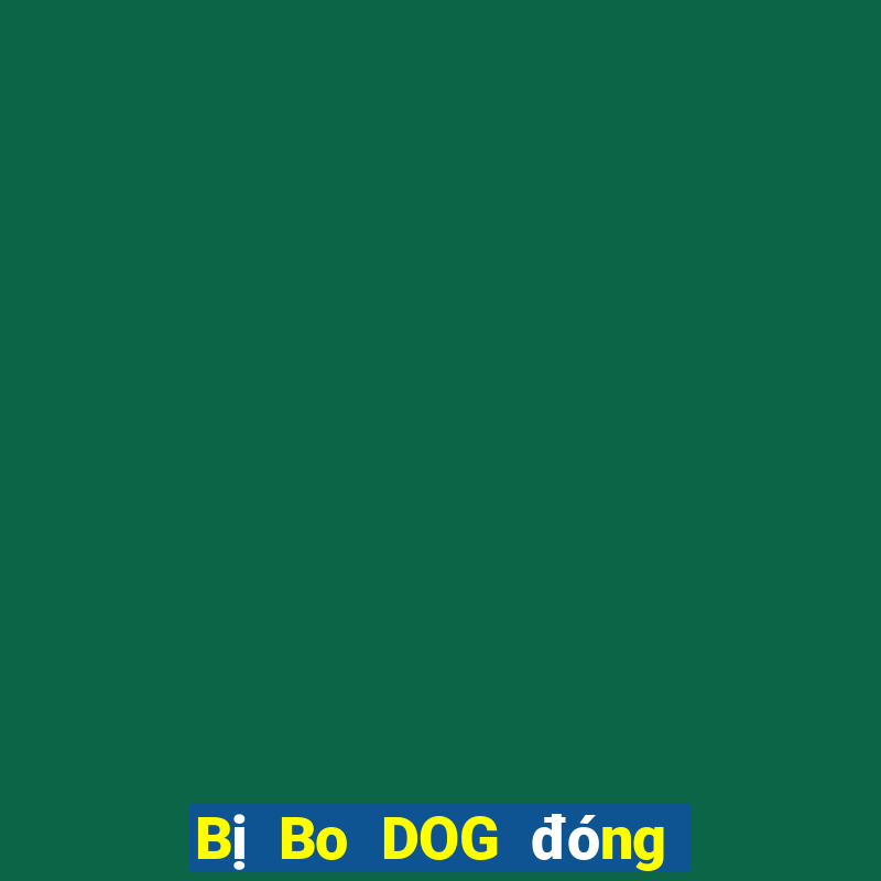 Bị Bo DOG đóng băng tài khoản