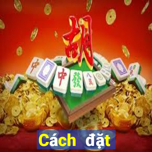 Cách đặt cược XSCT Chủ Nhật