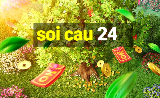 soi cau 24