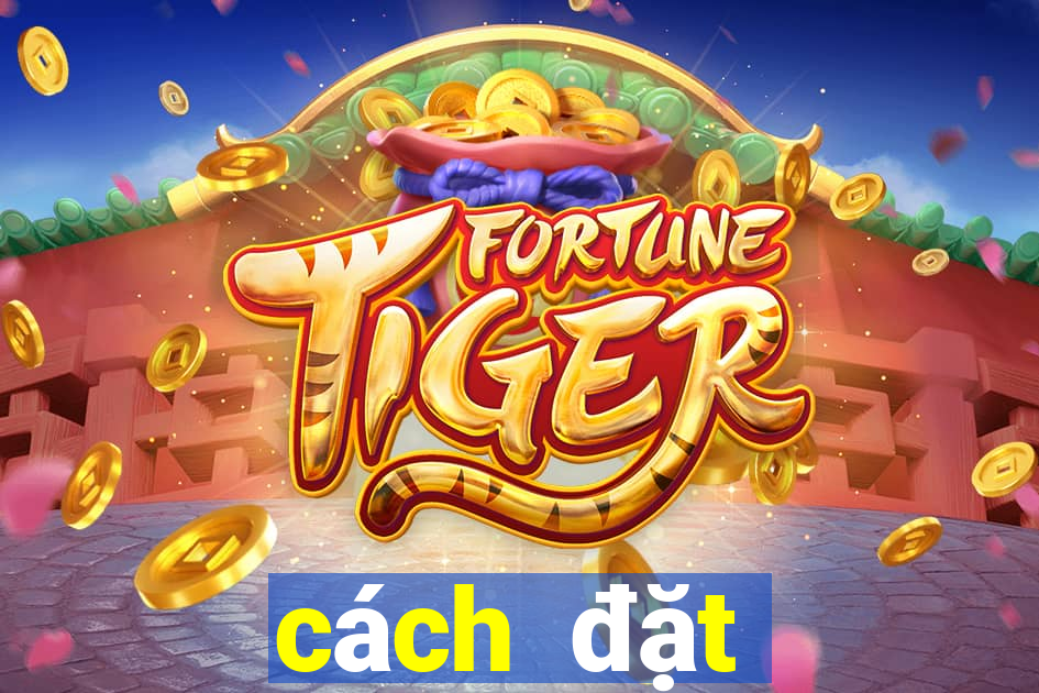 cách đặt cược ỏ 188bet