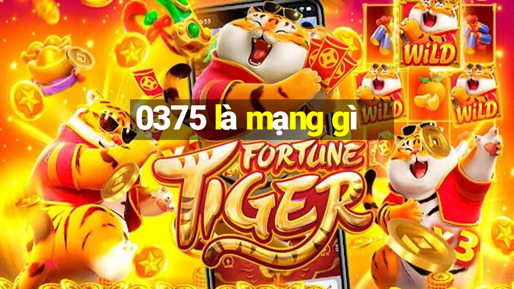 0375 là mạng gì