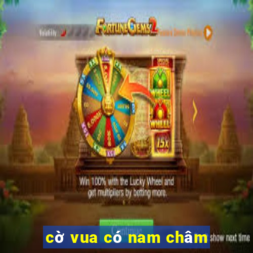 cờ vua có nam châm