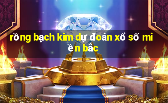 rong bach kim du doan xo so mien bac