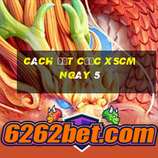 Cách đặt cược XSCM ngày 5