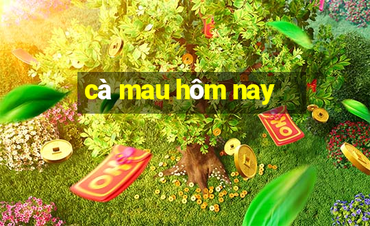 cà mau hôm nay