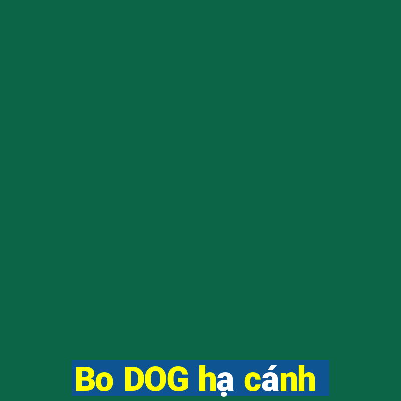 Bo DOG hạ cánh