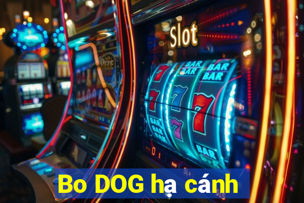 Bo DOG hạ cánh