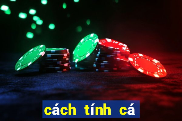 cách tính cá độ bóng đá