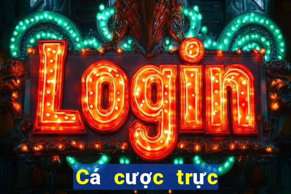 Cá cược trực tuyến wsmcasino