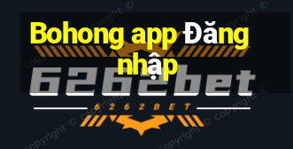 Bohong app Đăng nhập