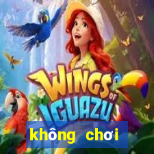 không chơi được zingplay