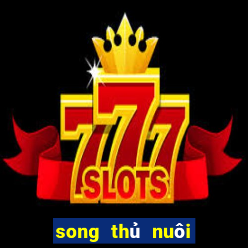 song thủ nuôi khung 3 ngày