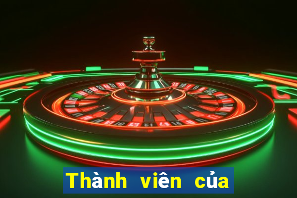 Thành viên của Sails giải trí