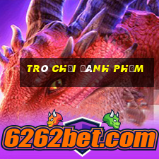 trò chơi đánh phỏm