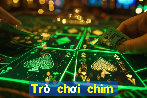 Trò chơi chim và thú mới