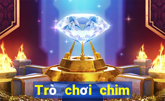 Trò chơi chim và thú mới