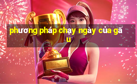 phương pháp chạy ngày của gấu