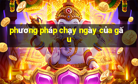 phương pháp chạy ngày của gấu