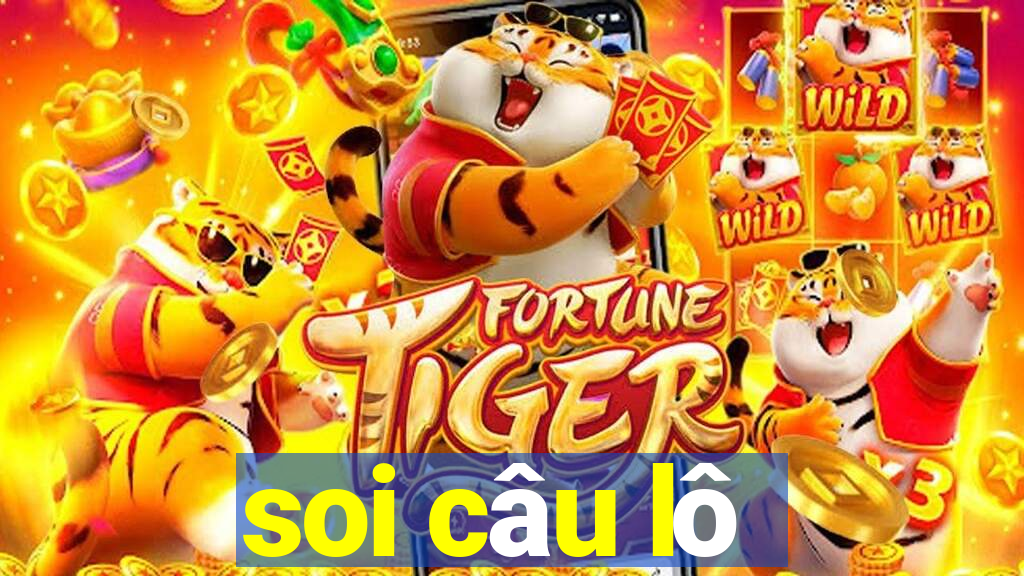 soi câu lô