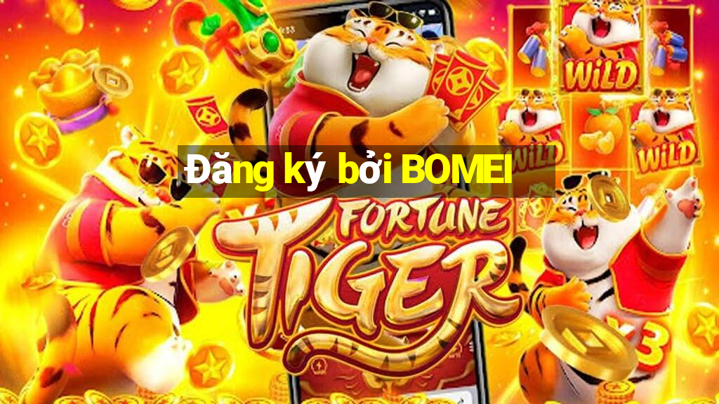 Đăng ký bởi BOMEI