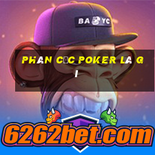 phân cực poker là gì