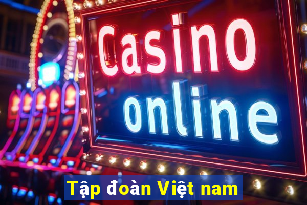 Tập đoàn Việt nam