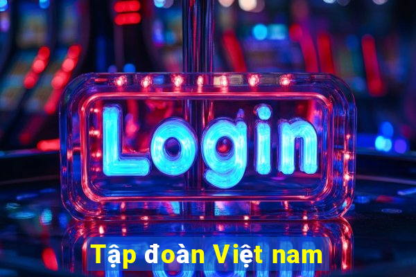 Tập đoàn Việt nam