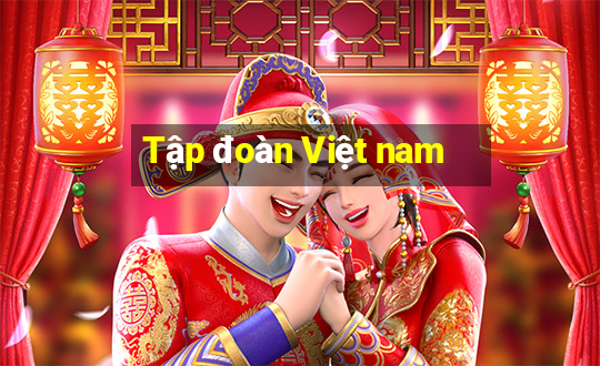 Tập đoàn Việt nam