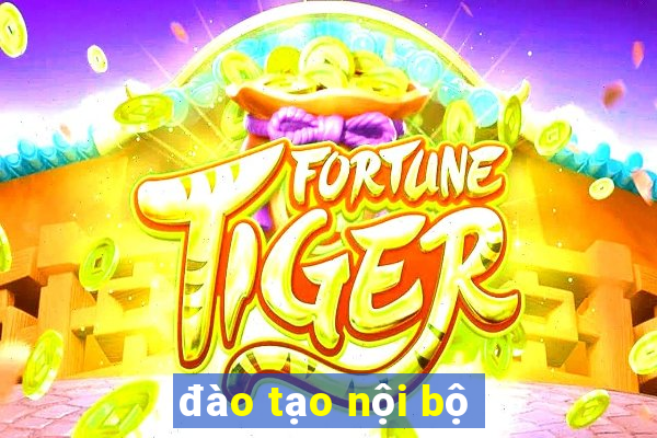 đào tạo nội bộ