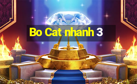 Bo Cat nhanh 3