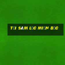 tải sâm lốc miền bắc