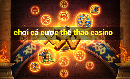 chơi cá cược thể thao casino