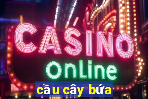 cầu cây bứa