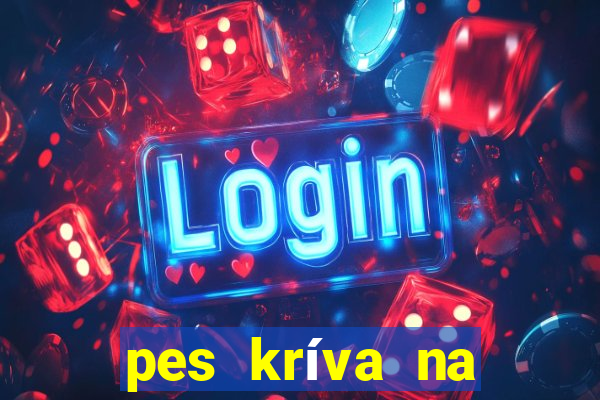 pes kríva na zadnú nohu