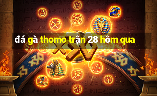 đá gà thomo trận 28 hôm qua