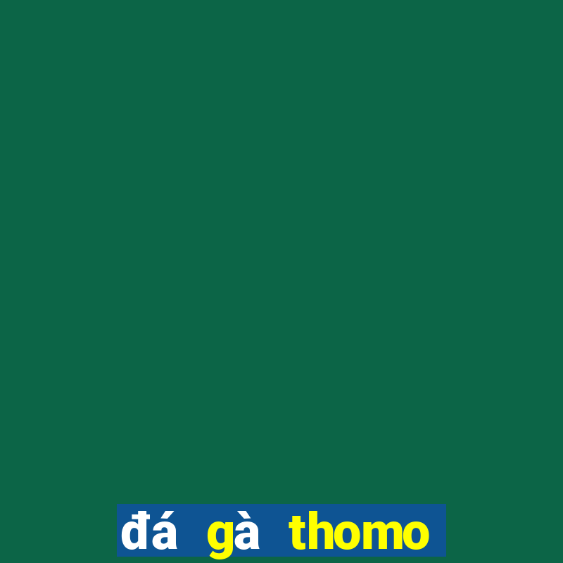 đá gà thomo trận 28 hôm qua